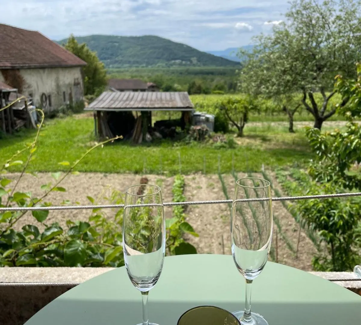 Apartment Cocon Avec Spa Et Vue Imprenable Chindrieux